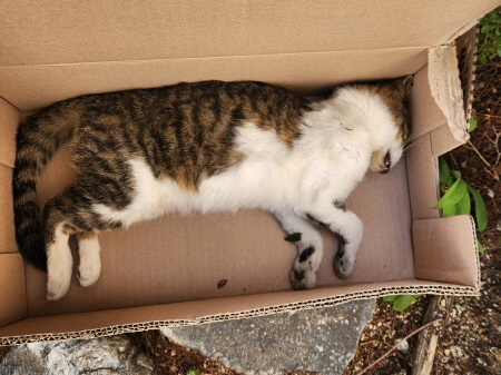 종료(자연사) 한국…