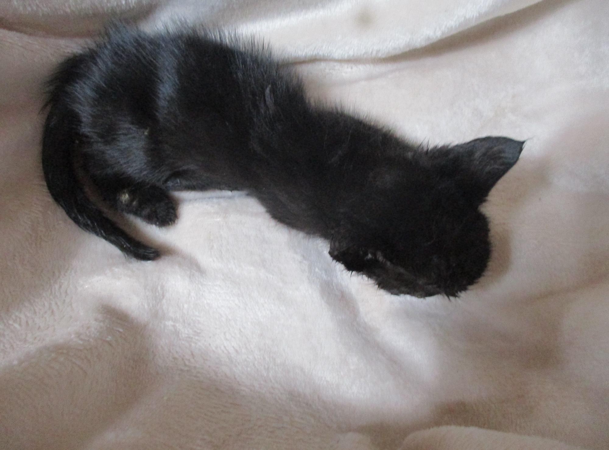 종료(자연사) 한국…