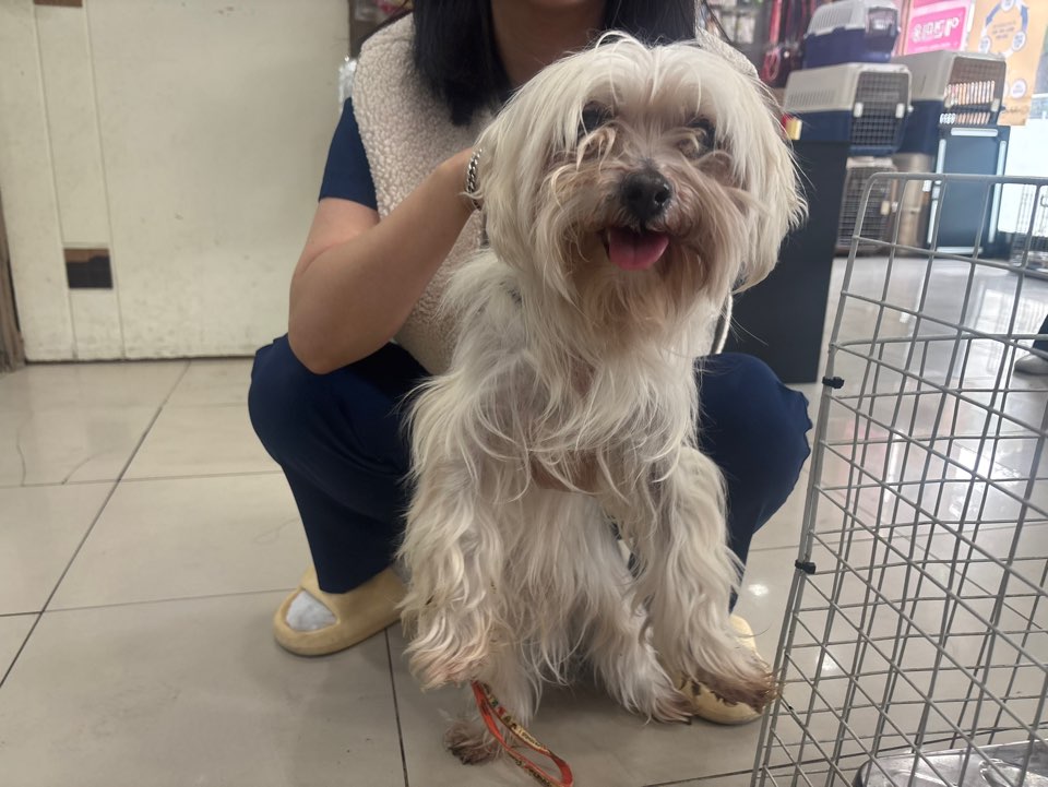 가정동물병원_428356202501543