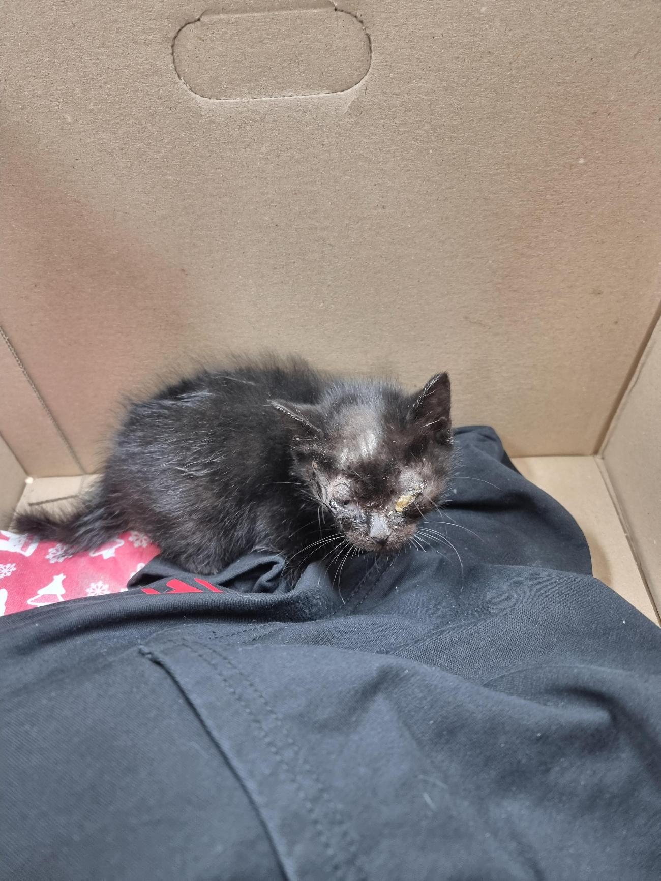 종료(자연사) 한국…