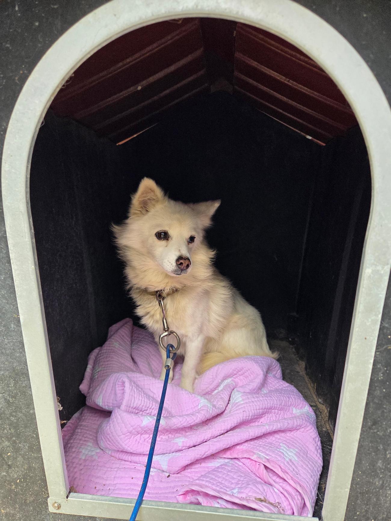 구례군동물보호센터_446487202500113