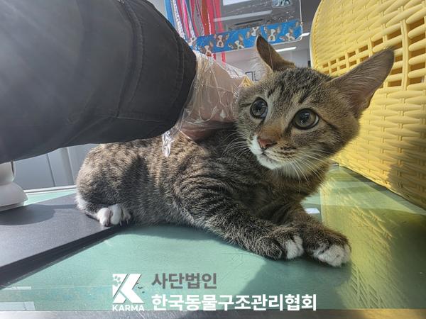 종료(기증) 한국 …