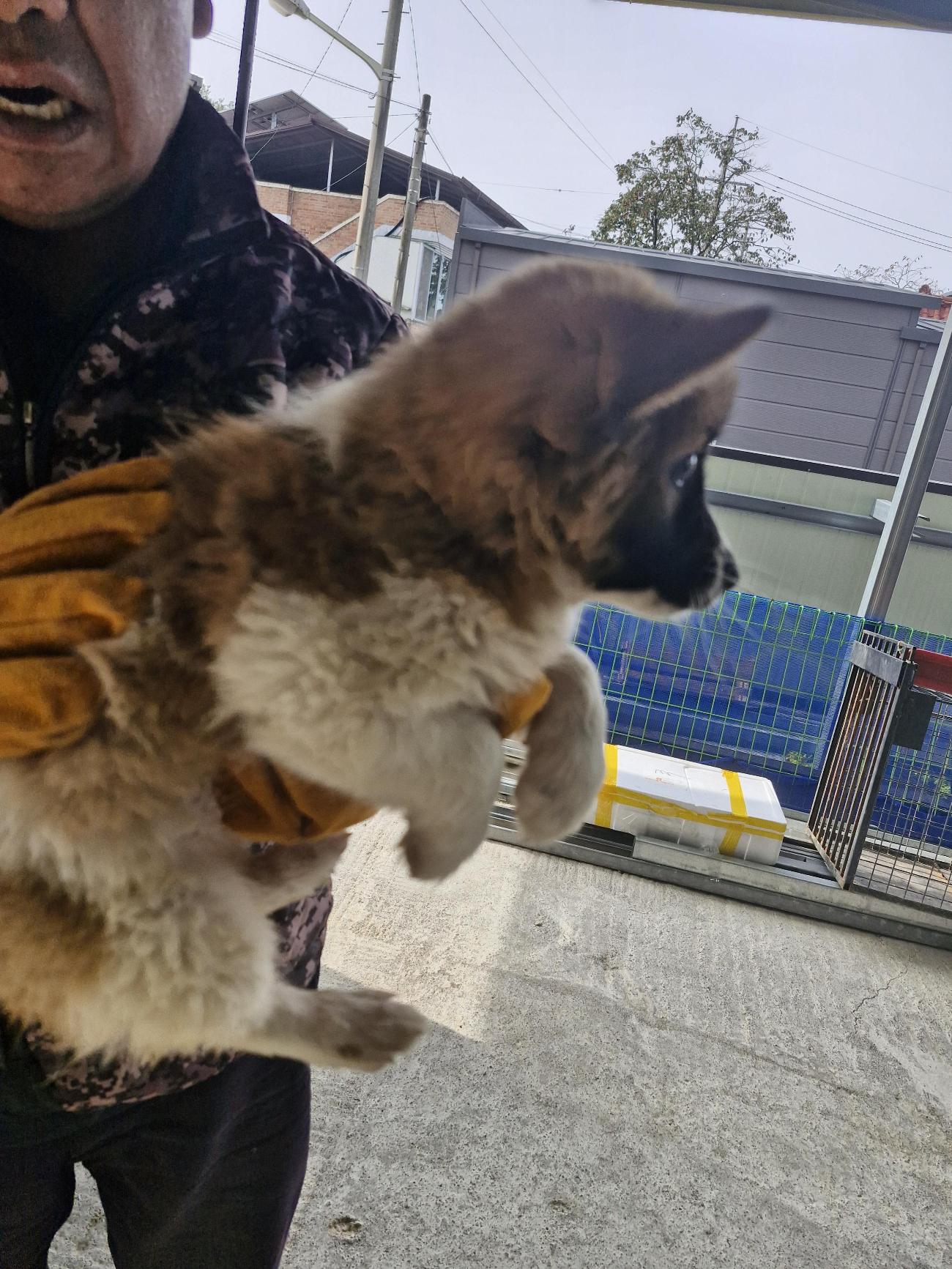 완주군유기동물보호소_445472202500595