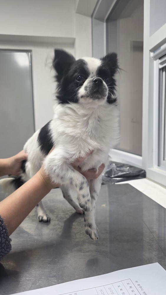 반려동물보호센터_443571202502939