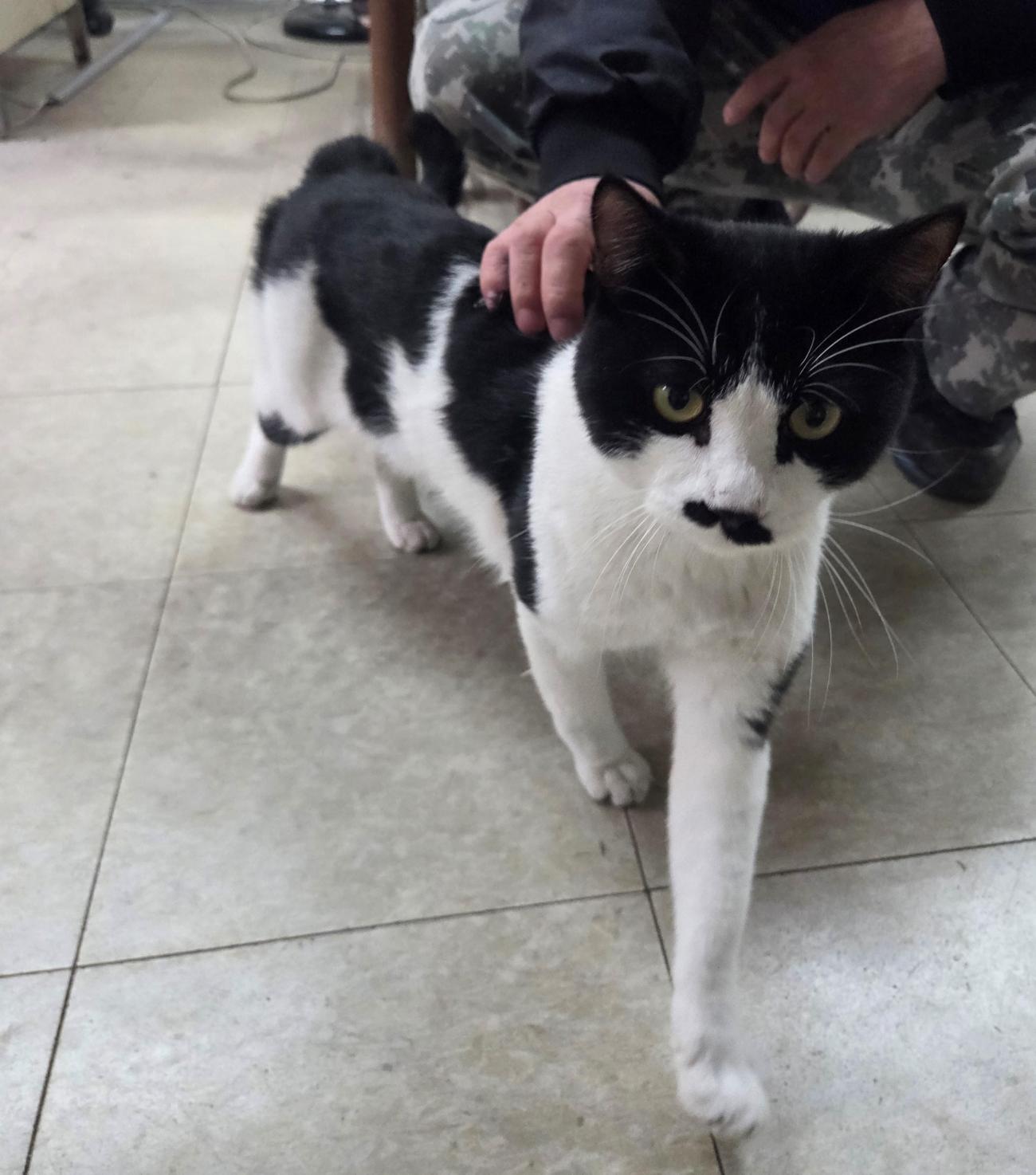 종료(자연사) 한국…