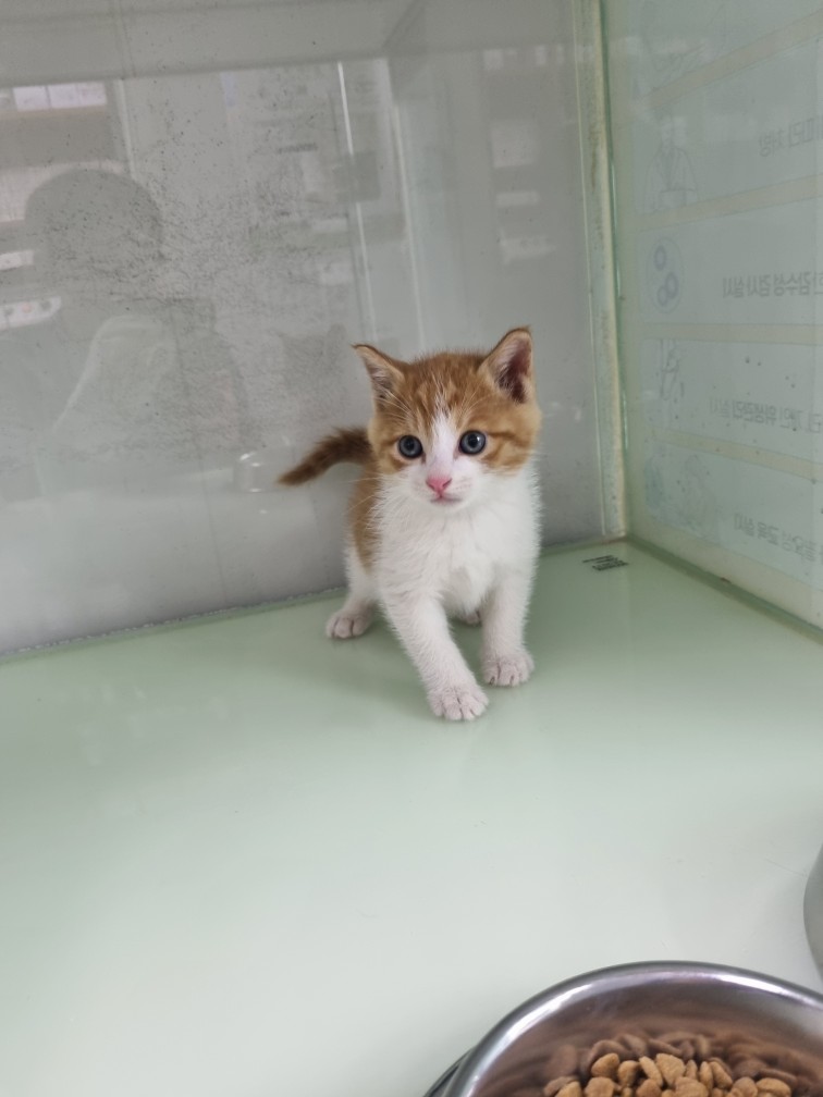 신공항동물병원_428349202500955