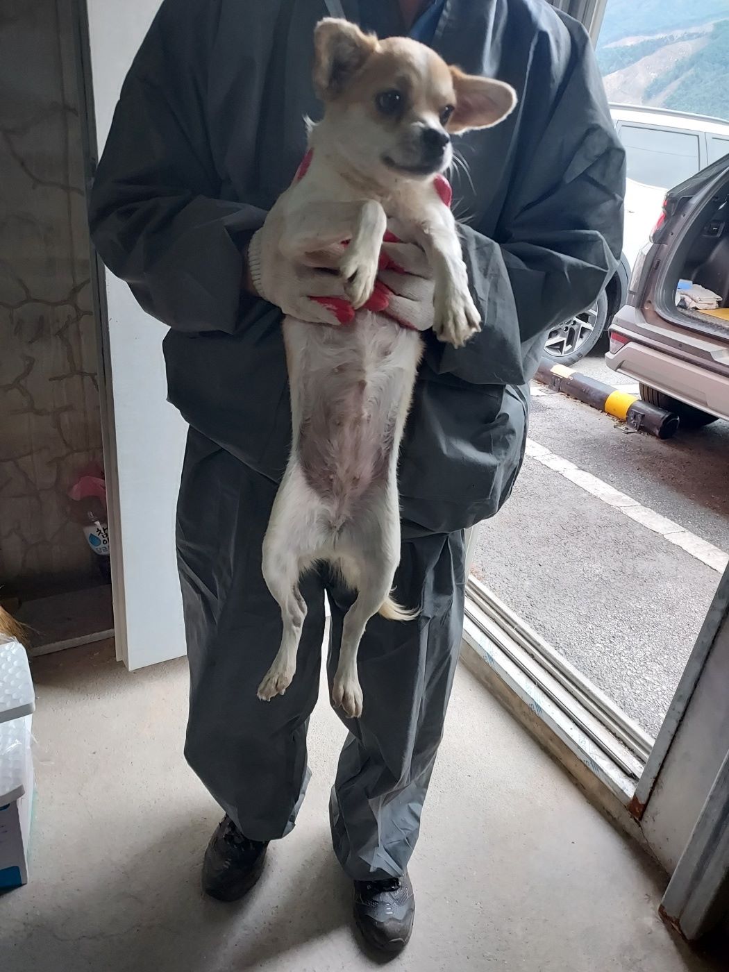 종료(안락사) 믹스…