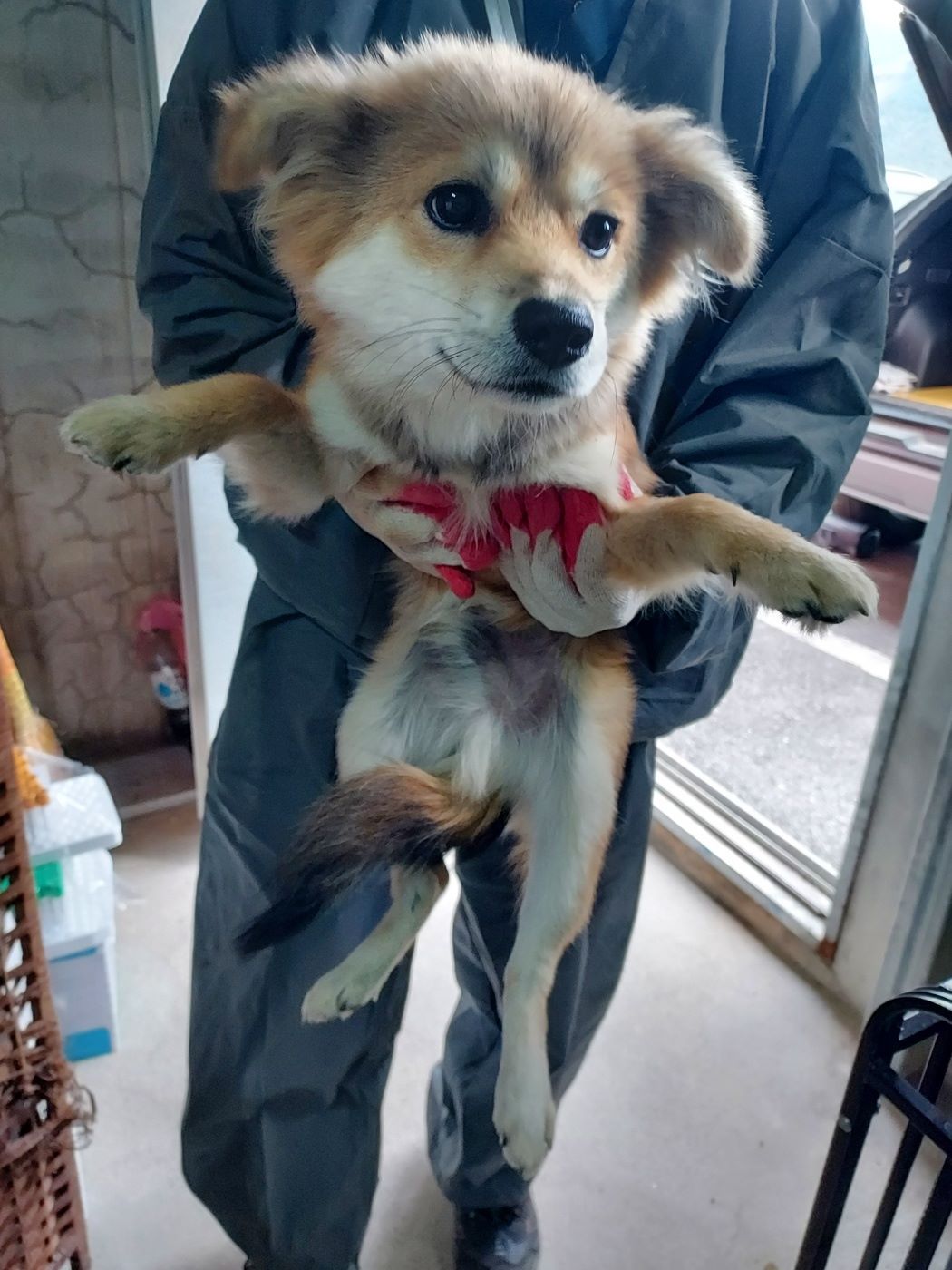 인월동물병원_445470202500984