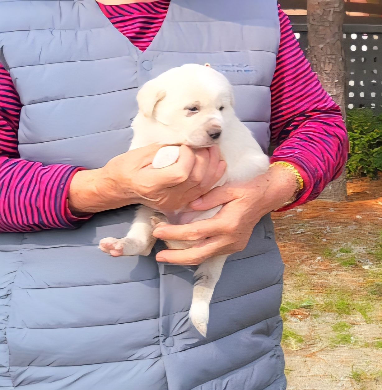 금왕동물병원_443447202501139