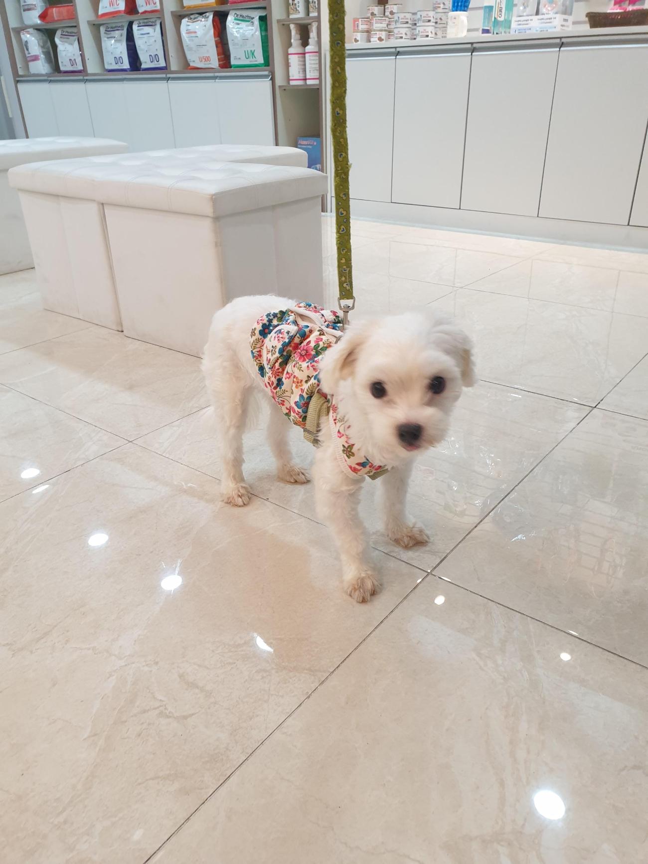 대구시수의사회(평리)_427343202501009