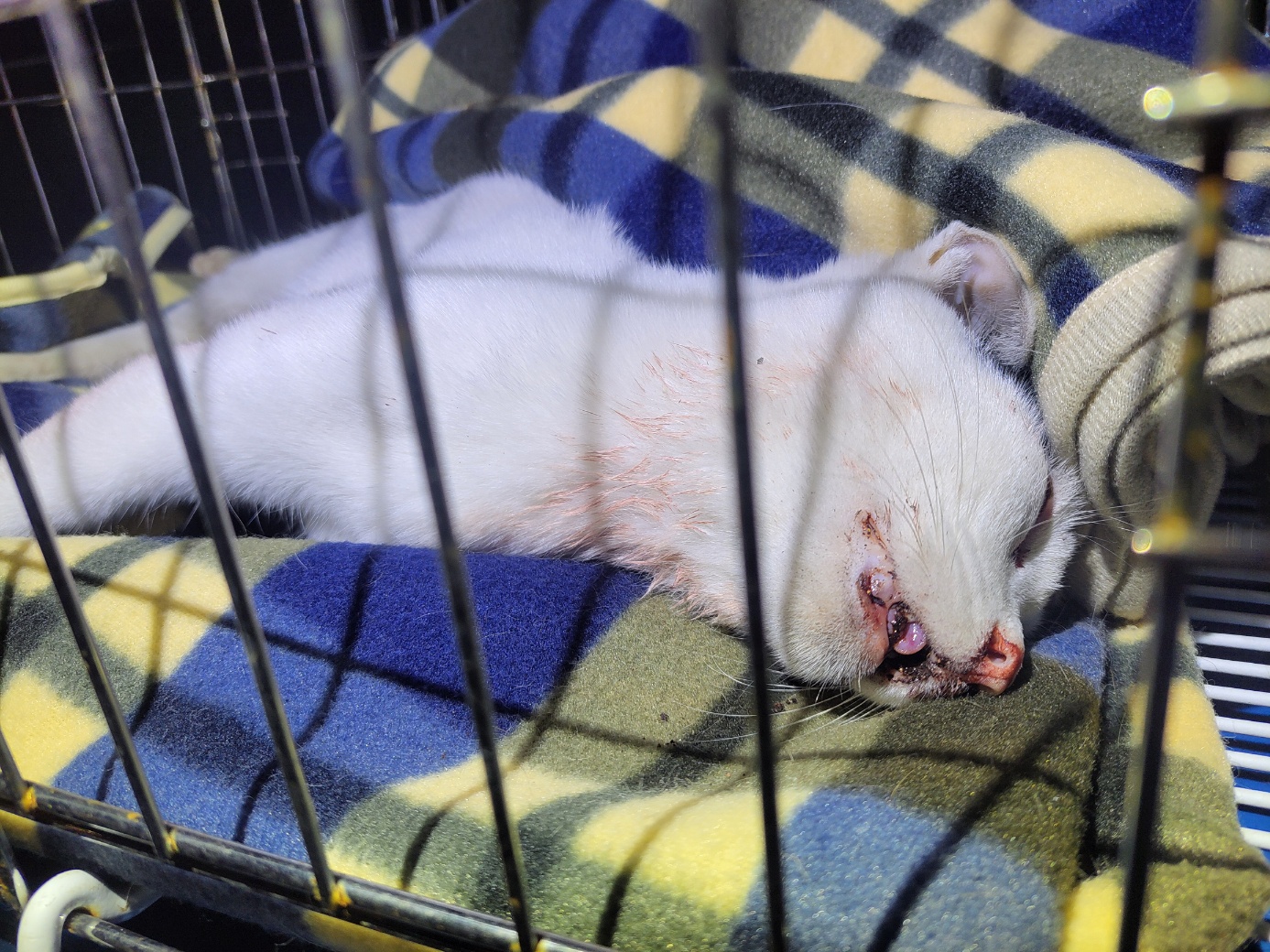 종료(자연사) 한국…