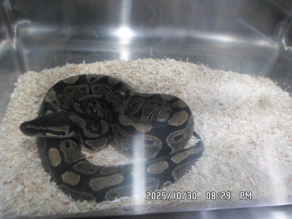 종료(기증) 기타축…