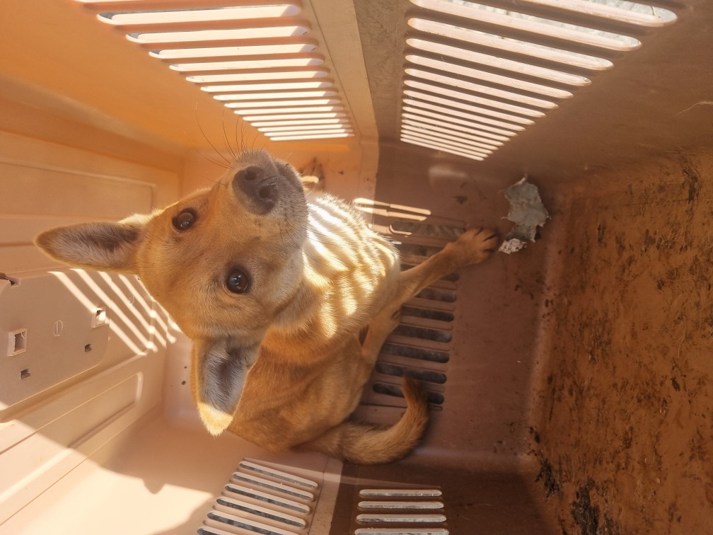 군위종합동물병원_427514202500268