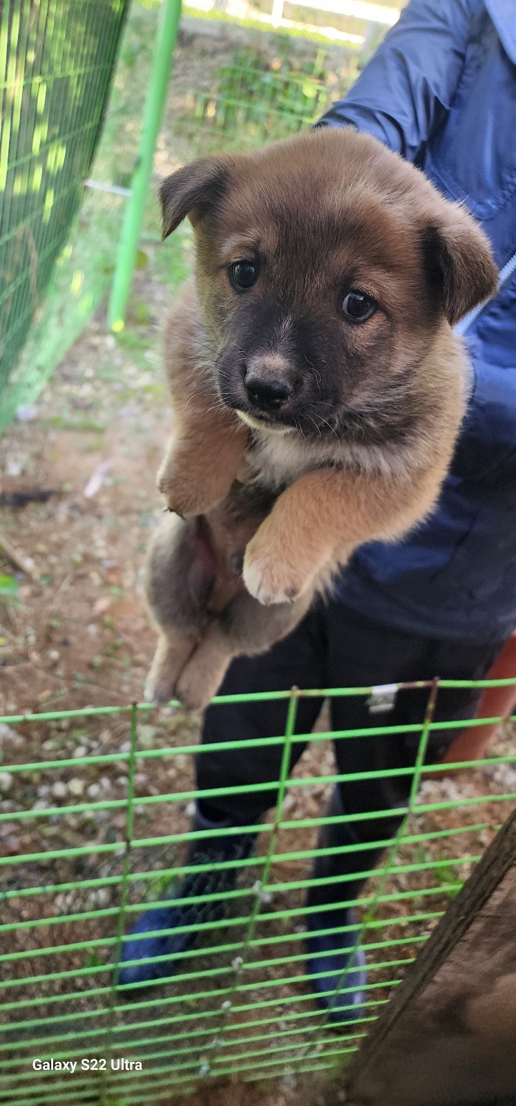 전북말산업복합센터_445471202500479