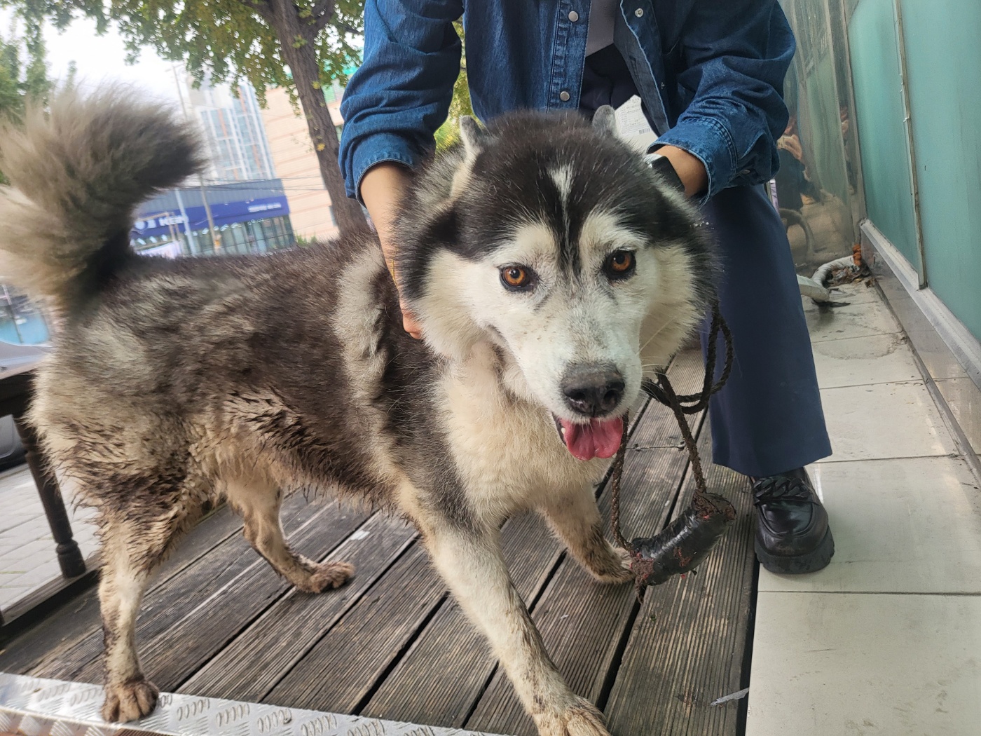 가정동물병원_428356202501546