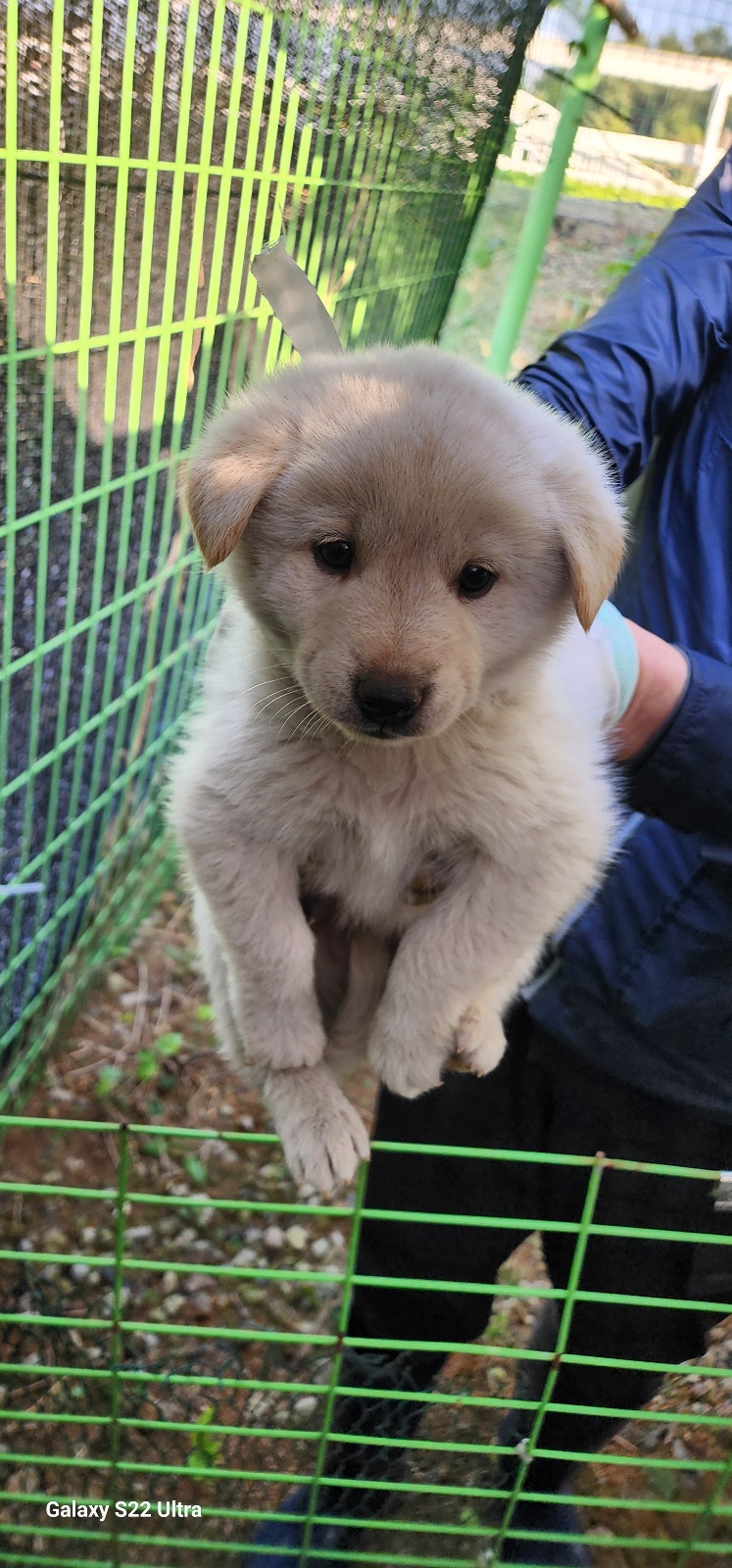 전북말산업복합센터_445471202500480