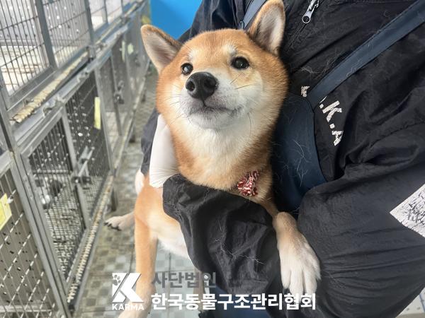 종료(반환) 시바의…