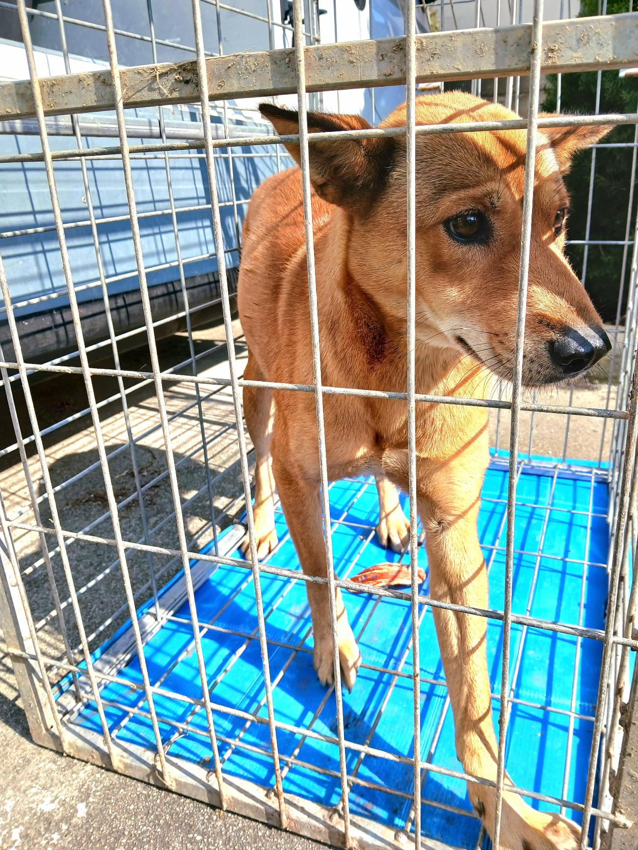 금왕동물병원_443447202501141