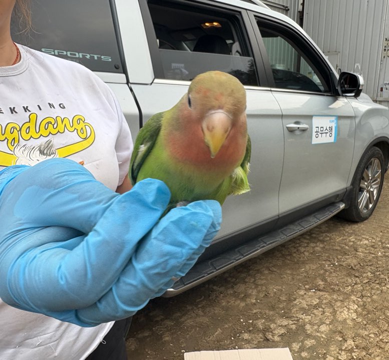 종료(반환) 기타축…