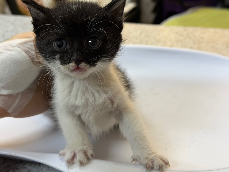 종료(기증) 한국 …