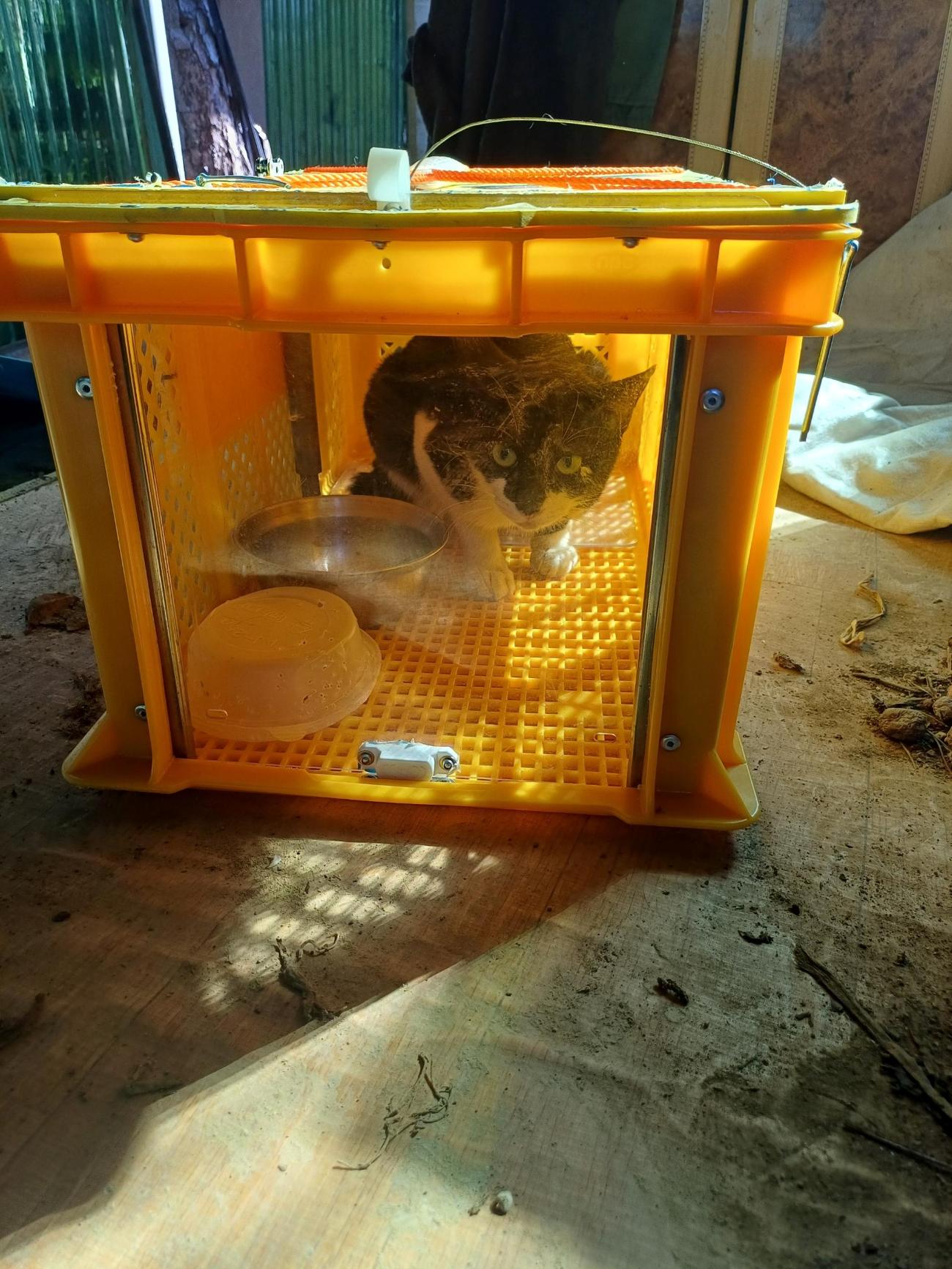 일산동물의료센터_431371202500515