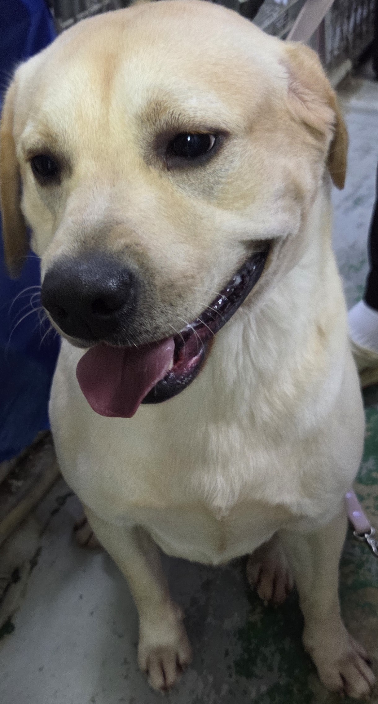 종료(반환) 라브라…