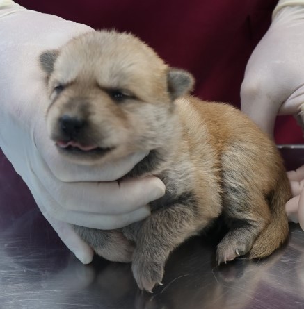 제주 동물보호센터_450650202502955