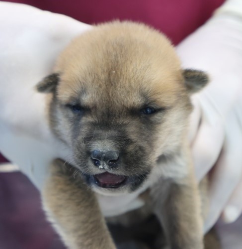 제주 동물보호센터_450650202502953