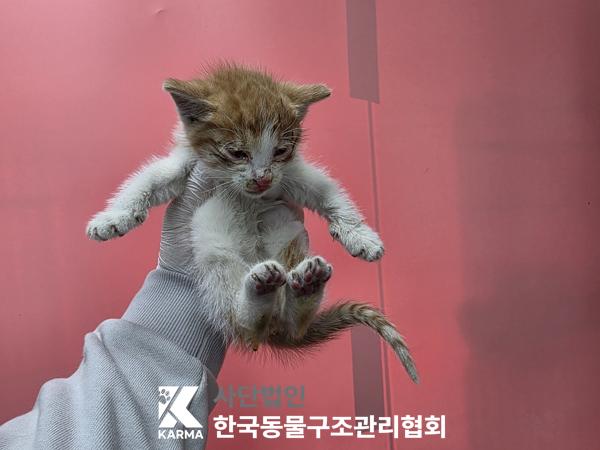 종료(자연사) 한국…