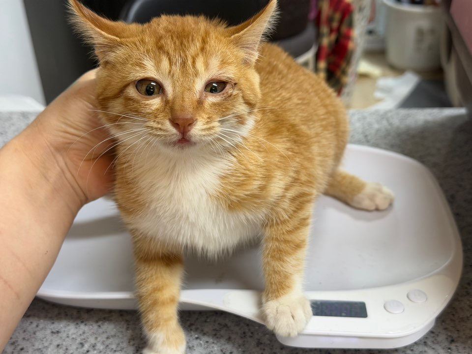 종료(기증) 한국 …