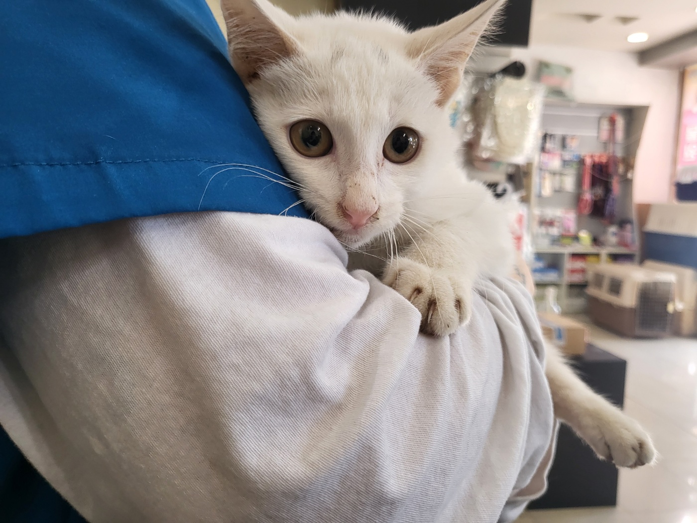 가정동물병원_428356202501552