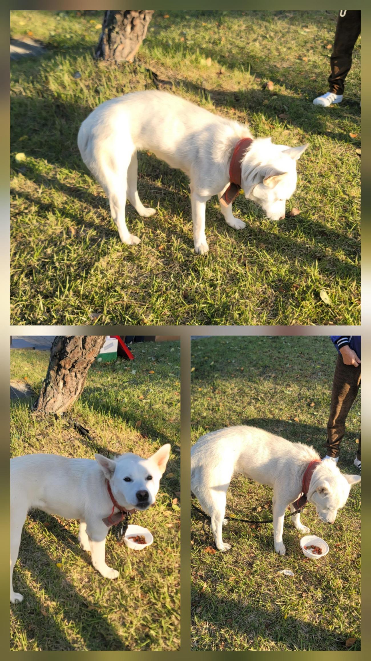 종합축산_447512202500657