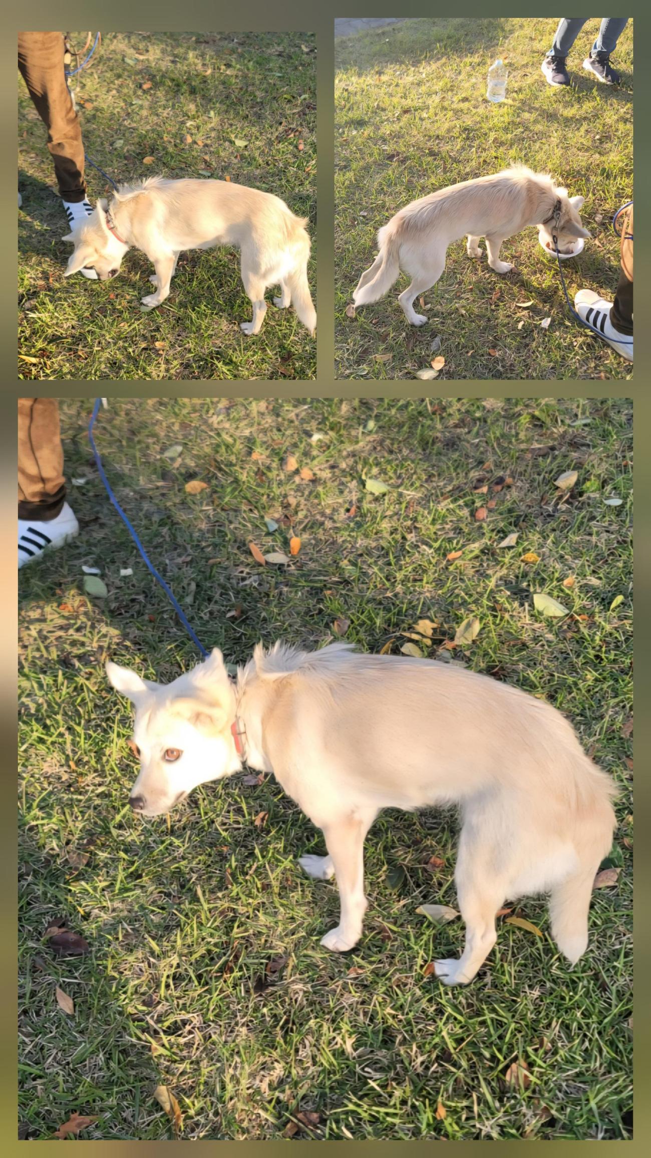 종합축산_447512202500658