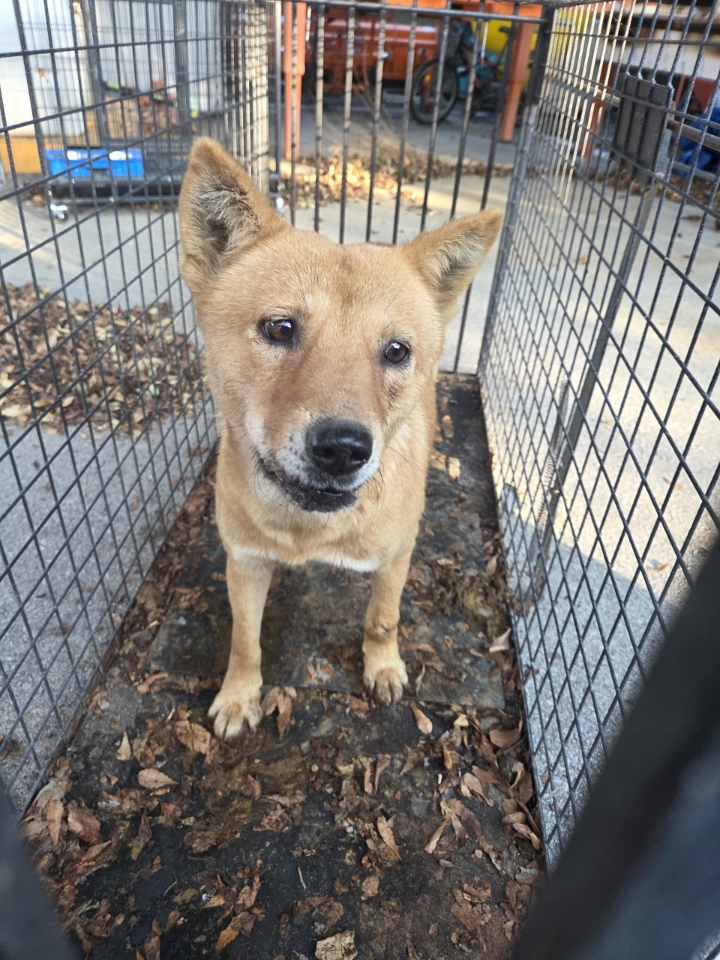 최종주동물병원_443444202500462