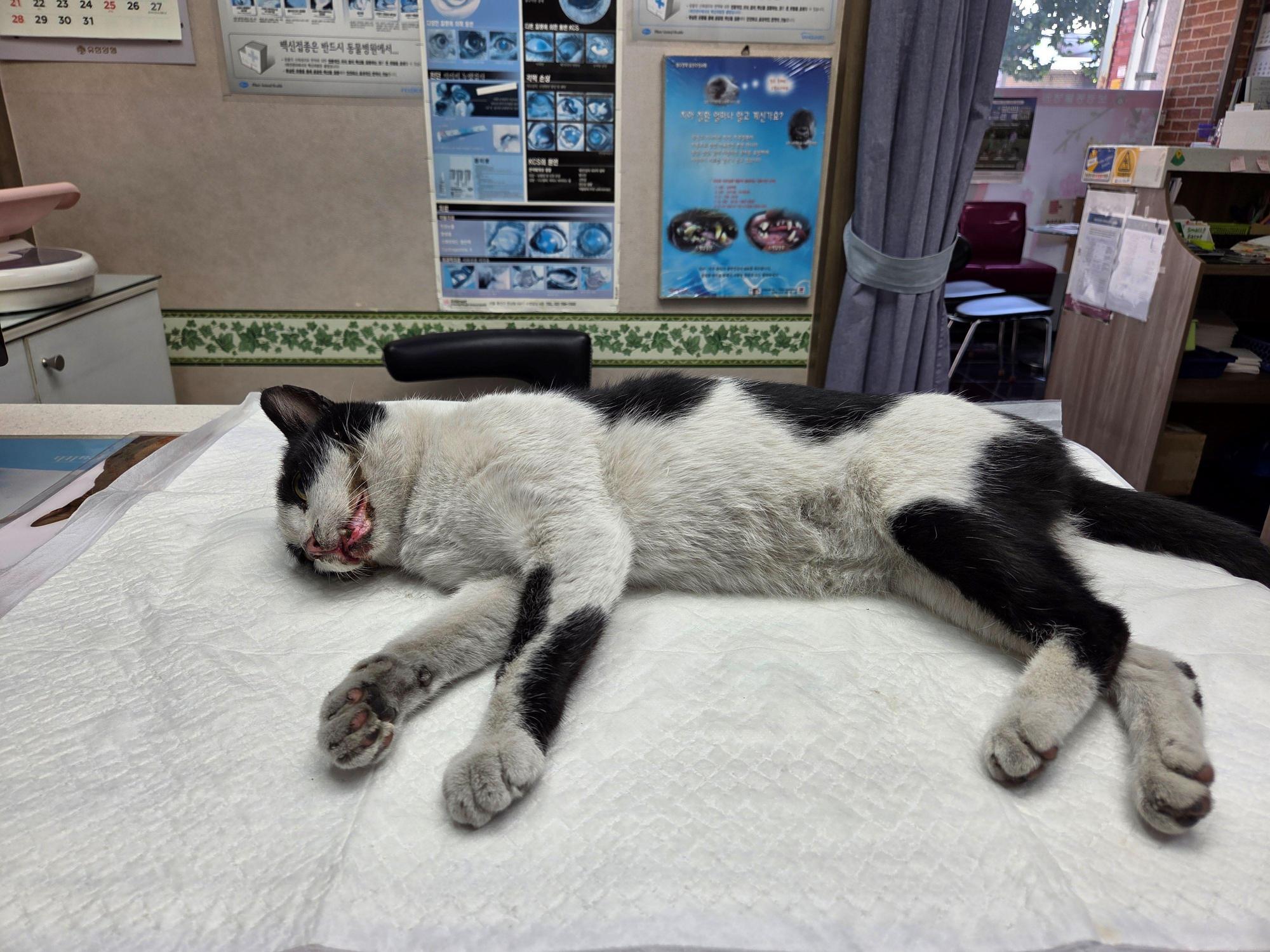 종료(자연사) 한국…