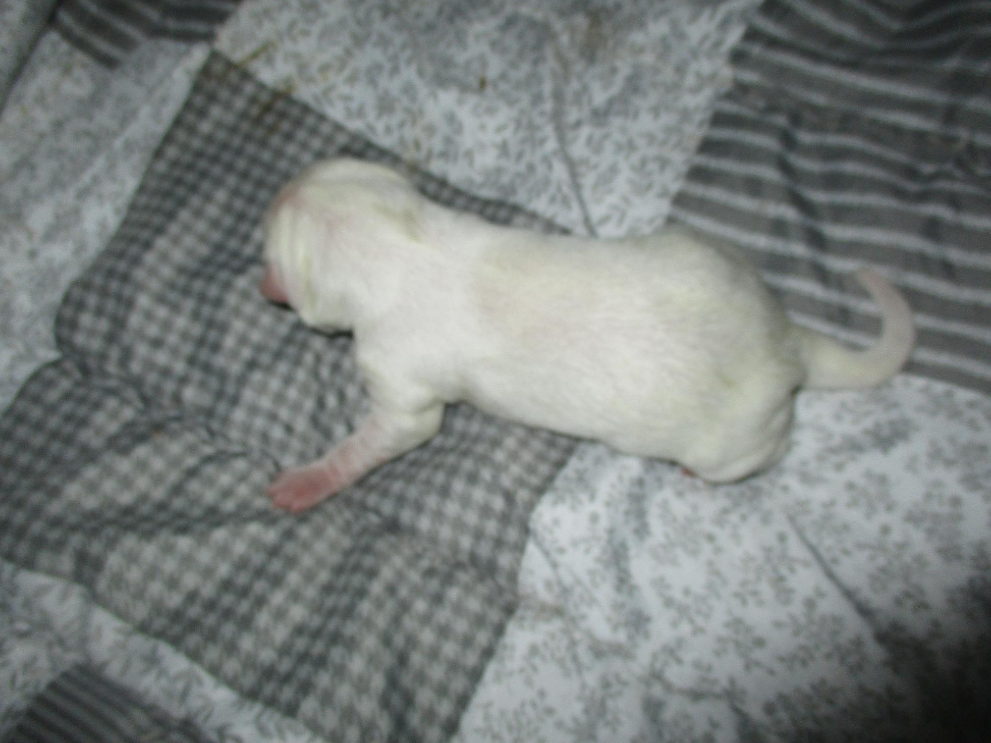 (사)동물보호관리협회_448535202501616