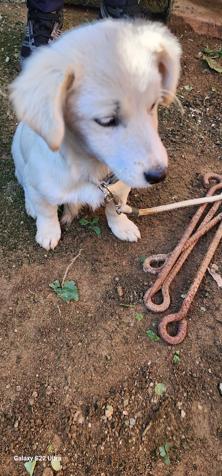 전북말산업복합센터_445471202500486