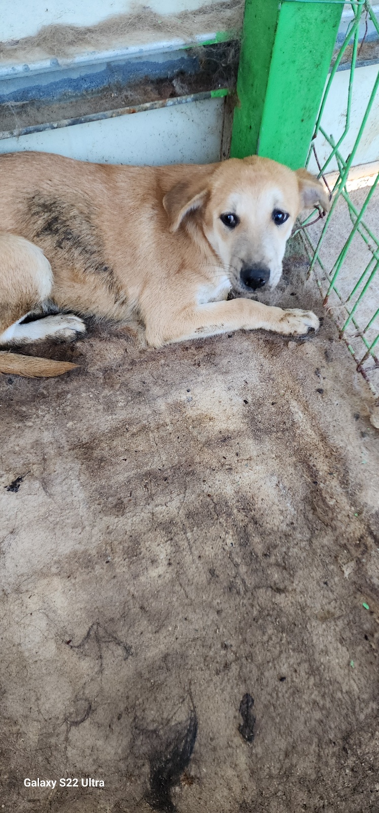 전북말산업복합센터_445471202500483