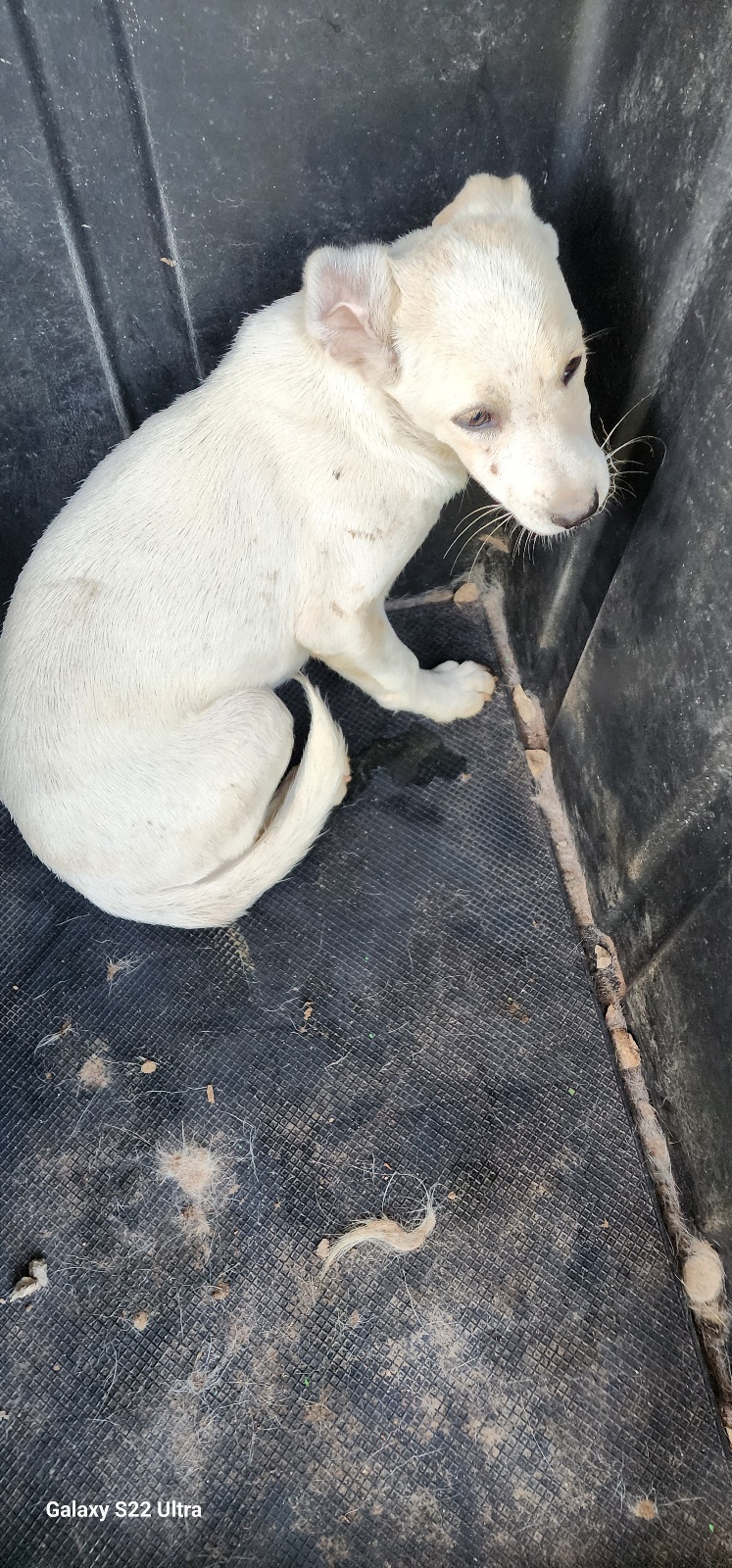 전북말산업복합센터_445471202500484