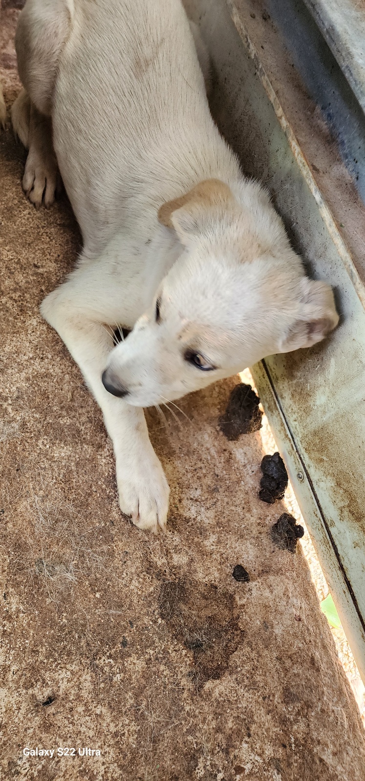 전북말산업복합센터_445471202500485