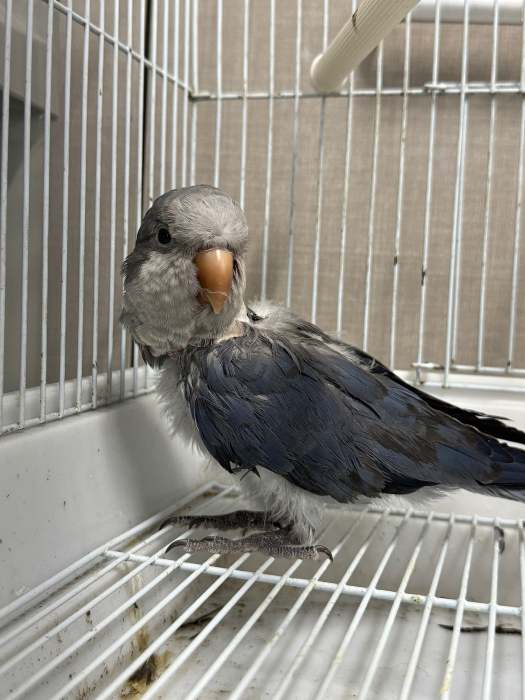 종료(반환) 기타축…