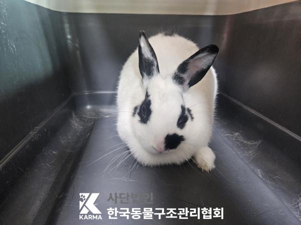 보호중 기타축종의 …