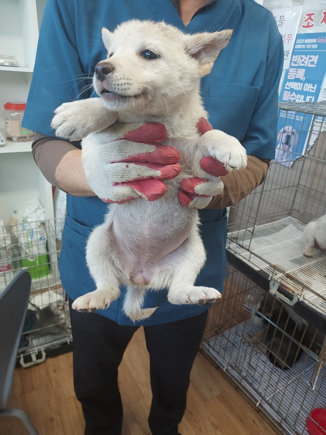 인월동물병원_445470202500986