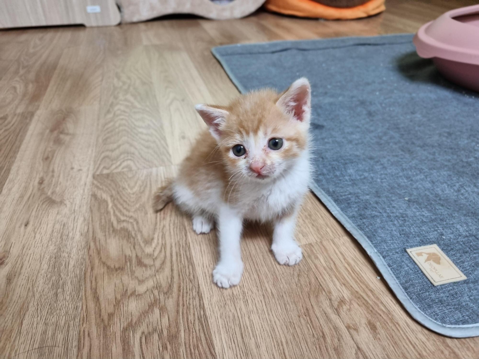 성주유기동물보호센터_447521202500496