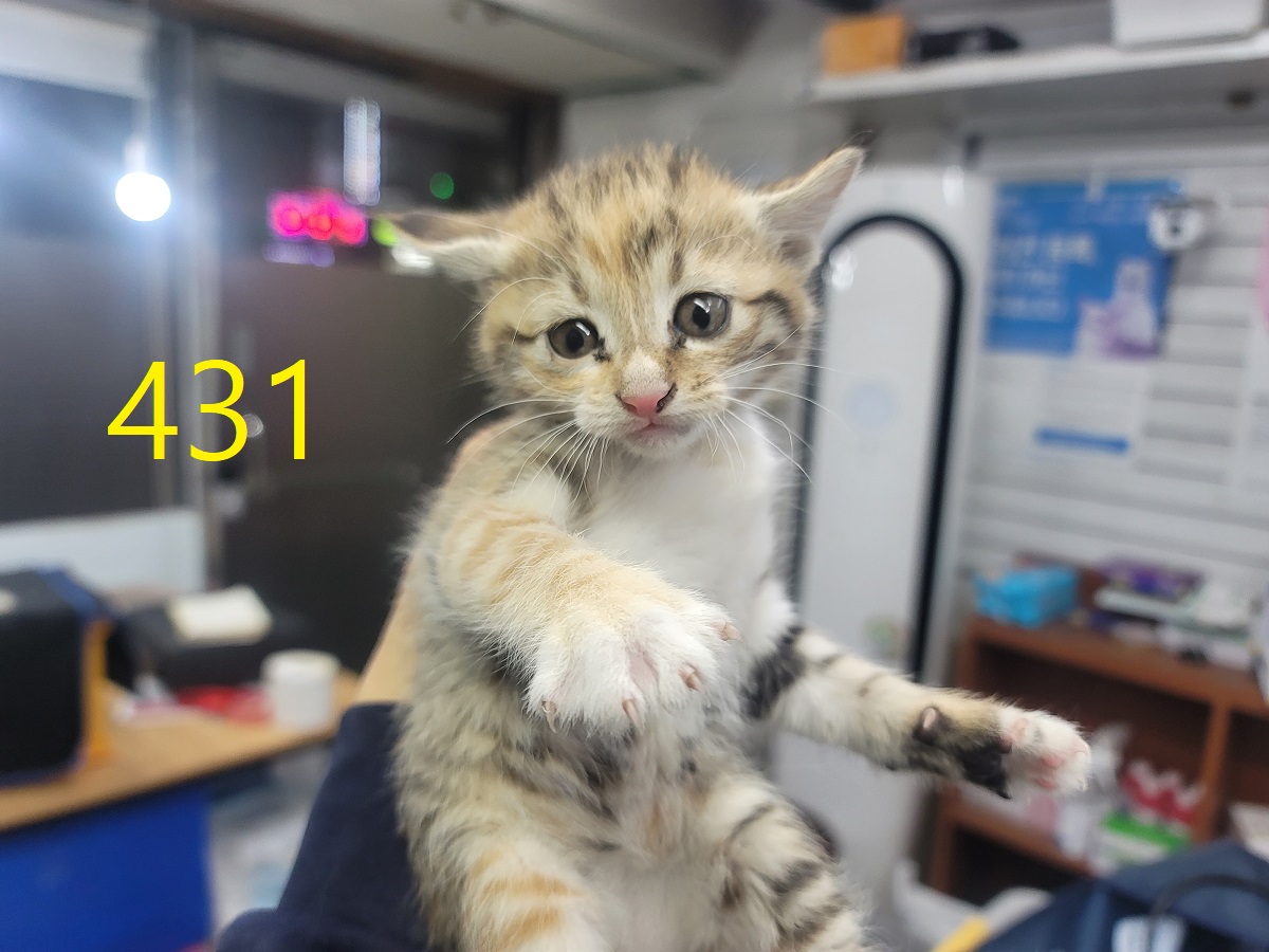 종료(자연사) 한국…