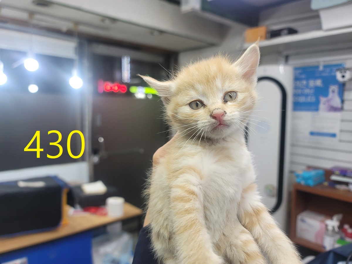 종료(자연사) 한국…