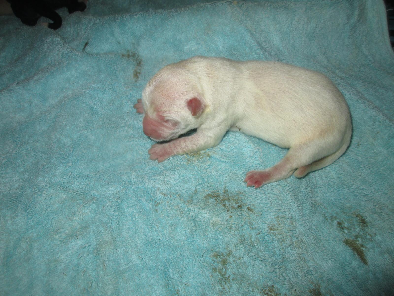 종료(자연사) 믹스…