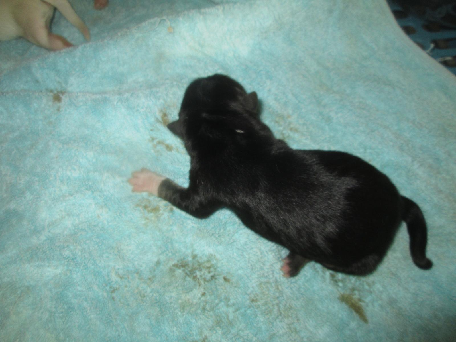 종료(자연사) 믹스…