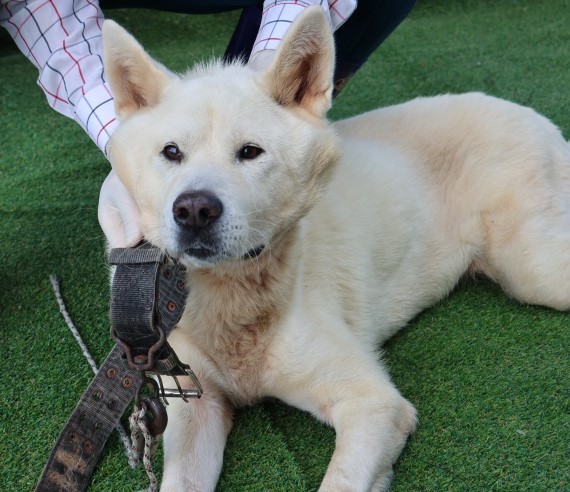 제주 동물보호센터_450650202502972