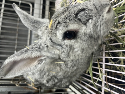 사단법인 동부_426340202500671